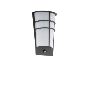 Eglo BREGANZO 1 Außenwandleuchte LED Anthrazit, 2-flammig, Bewegungsmelder