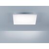 Paul Neuhaus FRAMELESS LED Panel Weiß, 1-flammig, Fernbedienung