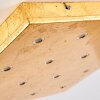 Pionnat Deckenleuchte LED Gold, 16-flammig