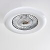 Petrovac Deckenventilator LED Chrom, Weiß, 1-flammig, Fernbedienung