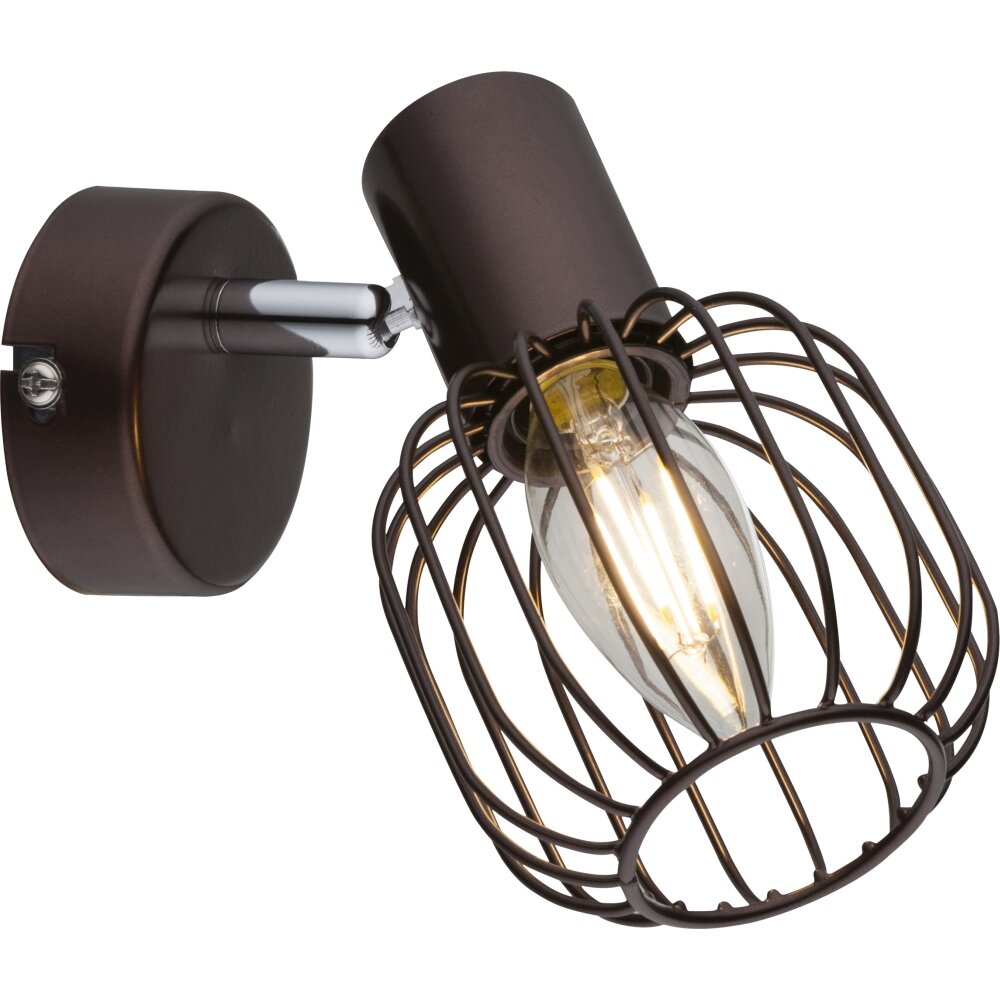 Globo Akin Strahler Braun, 1-flammig main product photo