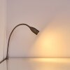 Alsea Bettleuchte LED Nickel-Matt, 1-flammig, Bewegungsmelder