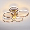 Volonne Deckenleuchte LED Silber, 5-flammig