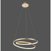 Paul Neuhaus ROMAN Pendelleuchte LED Gold, 1-flammig