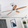 Valeria Deckenventilator Chrom, Holz hell, Nickel-Matt, 1-flammig