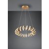 Trio Leuchten Curl Pendelleuchte LED Gold, 1-flammig
