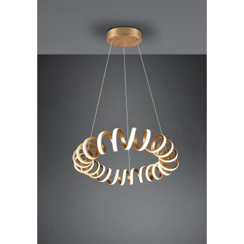 Trio Leuchten Curl Pendelleuchte LED Gold, 1-flammig