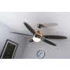 Globo AZURA Ventilator Nickel-Matt, 1-flammig