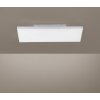 Paul Neuhaus FRAMELESS Panel LED Weiß, 1-flammig, Fernbedienung