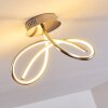 Wengi Deckenleuchte LED Nickel-Matt, 1-flammig