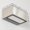 Spider Aussenwandleuchte LED Edelstahl, 1-flammig