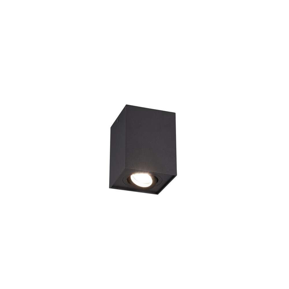 Trio Leuchten BISCUIT Deckenleuchte Schwarz, 1-flammig main product photo
