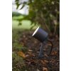 Lutec EXPLORER Gartenstrahler LED Anthrazit, 1-flammig