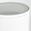 Brachy Außenwandleuchte LED Weiß, 2-flammig