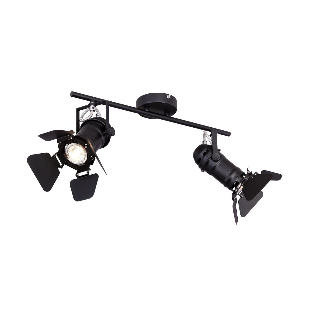 Globo EGON Strahler Schwarz, 2-flammig main product photo