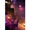 Philips Hue Ambiance White & Color Discover Flutlicht LED Schwarz, 1-flammig, Farbwechsler