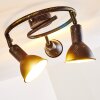 Polmak Deckenleuchte Schwarz-Gold, 3-flammig