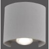 Paul Neuhaus CARLO Wandleuchte LED Silber, 2-flammig