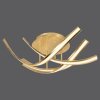 Paul Neuhaus LINDA Deckenleuchte LED Gold, 4-flammig