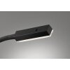 Fischer & Honsel function Raik Bettleuchte LED Schwarz, 1-flammig