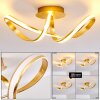 Woyens Deckenleuchte LED Gold, 1-flammig