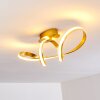 Woyens Deckenleuchte LED Gold, 1-flammig