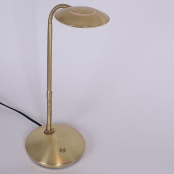 Steinhauer Zenith Tischleuchte LED Messing, 1-flammig