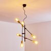 Coppet Pendelleuchte Schwarz-Gold, 6-flammig