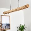 Winterthur Pendelleuchte LED Holz hell, Schwarz, 1-flammig