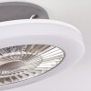 Somalia Deckenventilator LED Silber, Transparent, Klar, 1-flammig