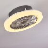 Somalia Deckenventilator LED Silber, Transparent, Klar, 1-flammig