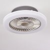 Somalia Deckenventilator LED Silber, Transparent, Klar, 1-flammig