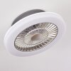 Somalia Deckenventilator LED Silber, Transparent, Klar, 1-flammig