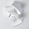 Foroyar Außenwandleuchte LED Weiß, 2-flammig, Bewegungsmelder