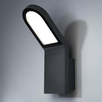 Osram ENDURA Außenwandleuchte LED Grau, 1-flammig