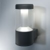 LEDVANCE SMART+ Außenwandleuchte Grau, 1-flammig, Farbwechsler