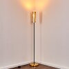 Tegna Stehleuchte Schwarz-Gold, 1-flammig