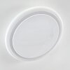 Lowell Deckenleuchte LED Weiß, 2-flammig, Fernbedienung, Farbwechsler