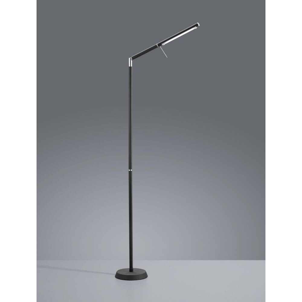 Trio Leuchten FILIGRAN Stehleuchte LED Schwarz, 1-flammig main product photo