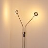 Gulkana Stehleuchte LED Nickel-Matt, 2-flammig