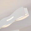 Nagold Deckenleuchte LED Weiß, 1-flammig