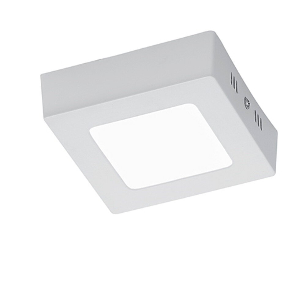Trio Leuchten ZEUS Deckenleuchte LED Weiß, 1-flammig main product photo
