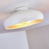 Guayo Deckenleuchte Aluminium, 1-flammig