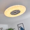 Petrovac Deckenventilator LED Chrom, Weiß, 1-flammig, Fernbedienung