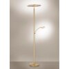 Paul Neuhaus ARTUR Deckenfluter LED Messing, 1-flammig