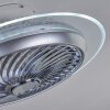 Tamworth Deckenventilator LED Silber, Transparent, Klar, 1-flammig, Fernbedienung