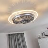 Tamworth Deckenventilator LED Silber, Transparent, Klar, 1-flammig, Fernbedienung