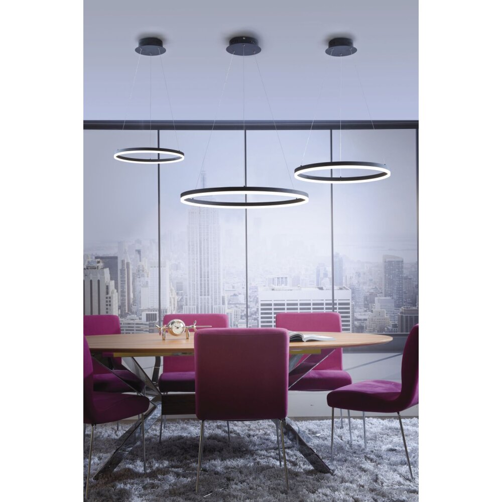 Paul Neuhaus TITUS Pendelleuchte LED Anthrazit, 1-flammig main product photo