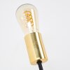Gnarp Tischleuchte Gold, Schwarz, 1-flammig