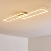 Ceva Deckenleuchte LED Silber, 2-flammig, Fernbedienung